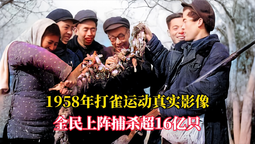 澳门2025年六开彩开奖结果查询,邓超约路人打篮球,多元化方案执行策略_社交版V12.93